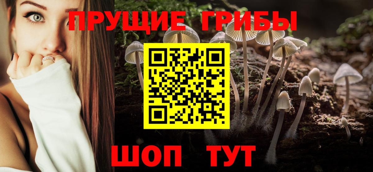 Галлюциногенные грибы Cubensis  Вход с VPN  Саранск 