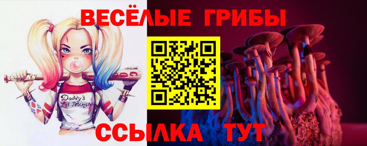 Галлюциногенные грибы Cubensis Саранск